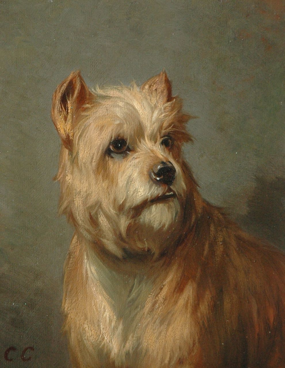 Cunaeus C.  | Conradijn Cunaeus, Portrait of a dog, Öl auf Holz 19,0 x 14,7 cm, signed l.l. with initials