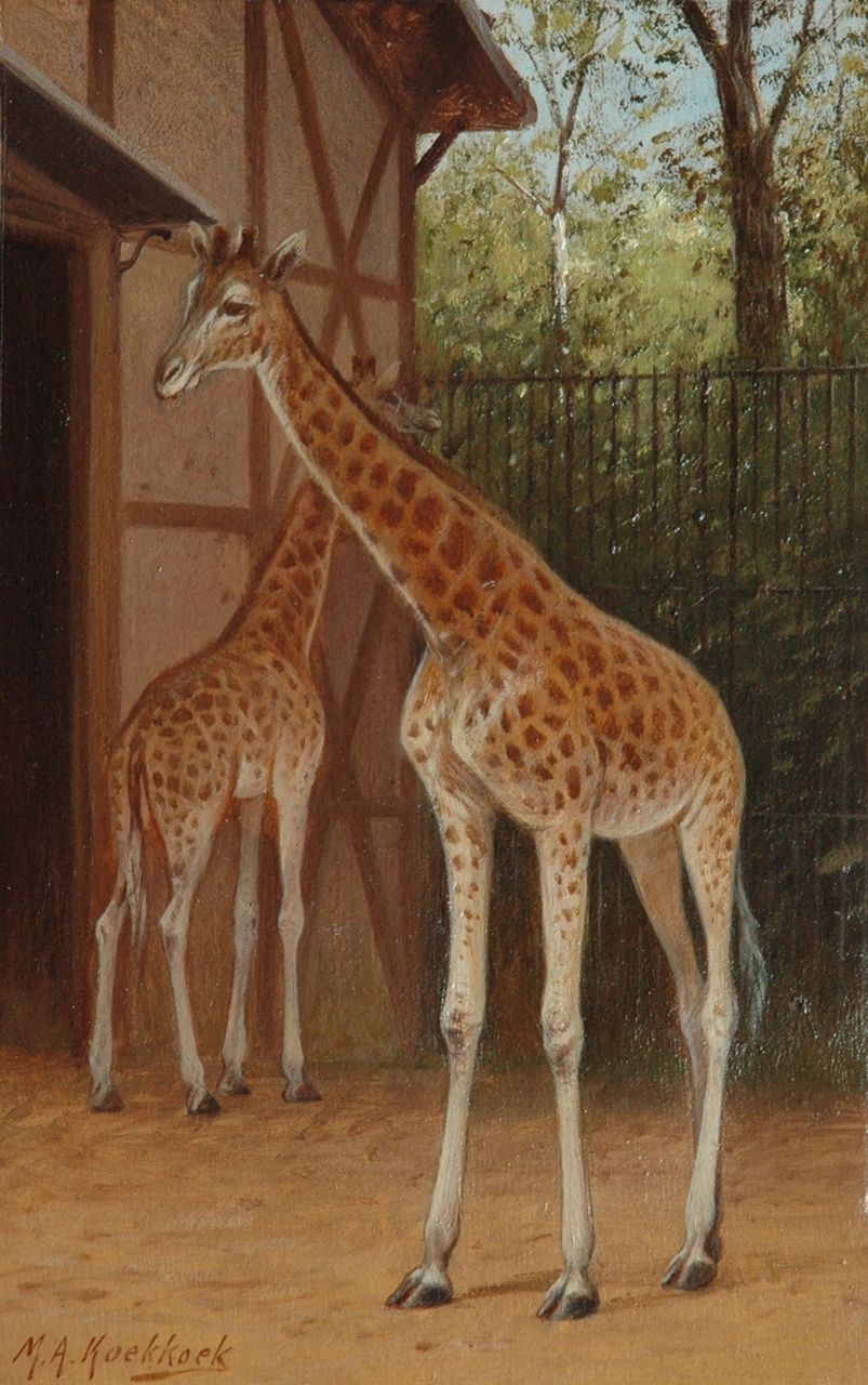 Koekkoek II M.A.  | Marinus Adrianus Koekkoek II, Giraffes in the Amsterdam zoo, Öl auf Papier auf Holzfaser 25,4 x 16,3 cm, signed l.l.