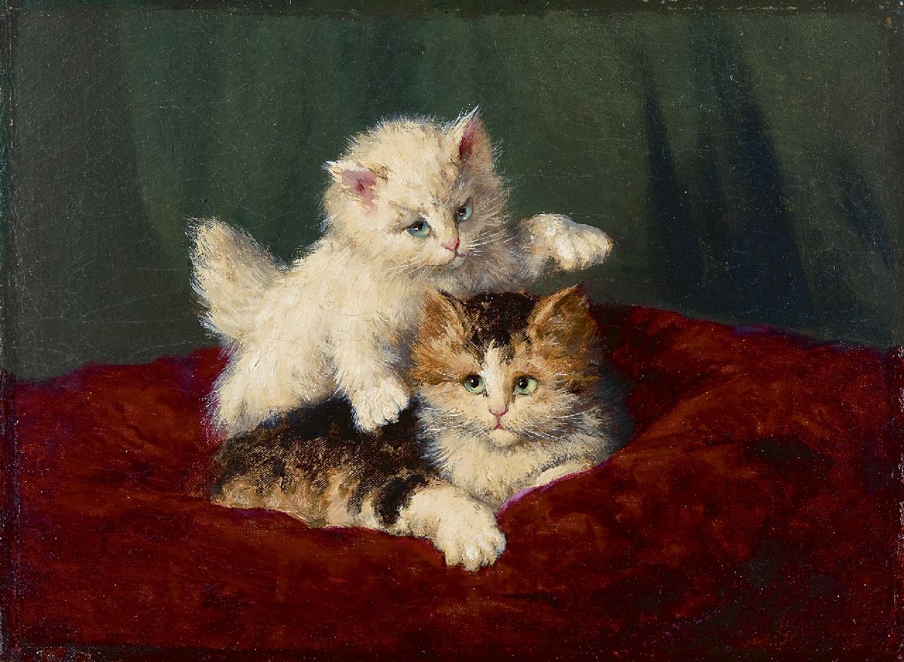 Jozef Gindra | Two kittens playing, Öl auf Leinwand, 31,2 x 42,3 cm, signed l.r.