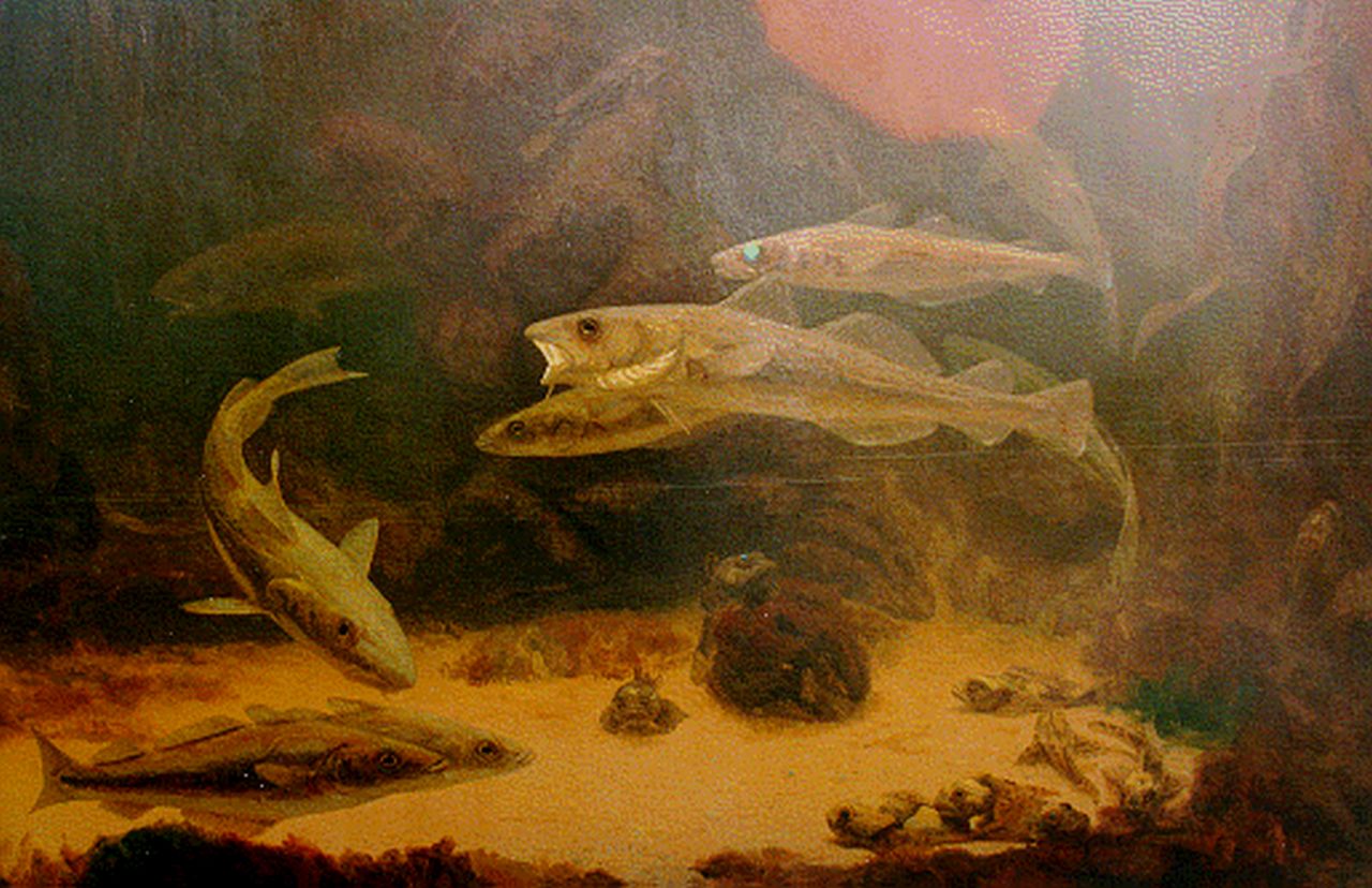 Dijsselhof G.W.  | Gerrit Willem Dijsselhof, Fish in an aquarium, Öl auf Leinwand 81,0 x 120,5 cm, signed l.l.