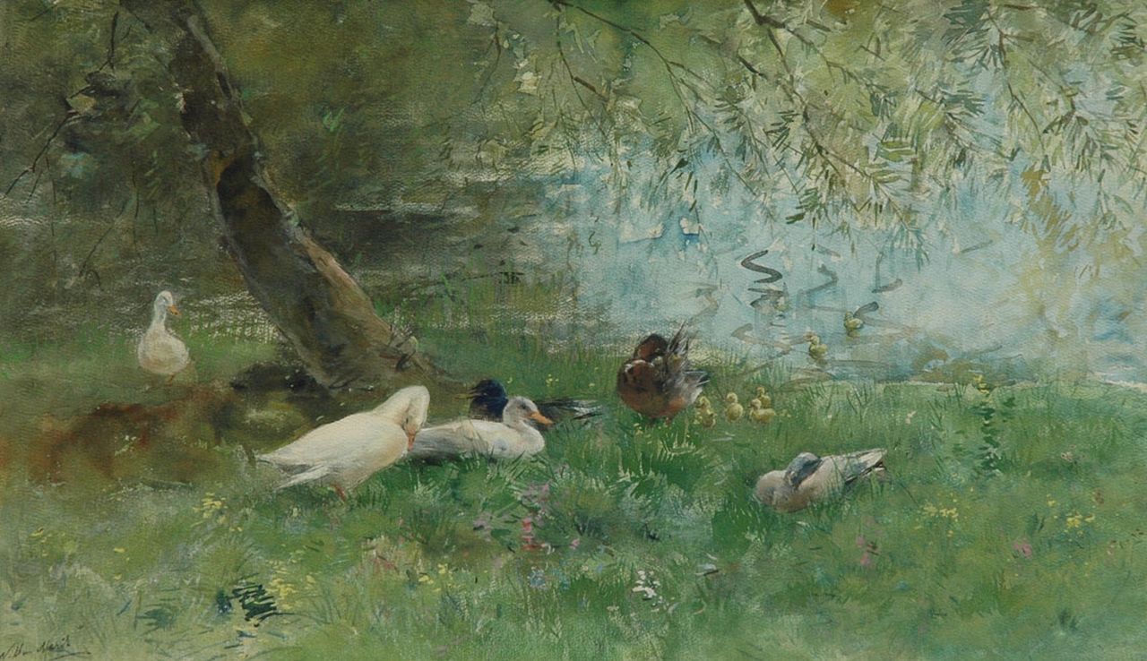 Maris W.  | Willem Maris, Ducks at the waterfront, Aquarell auf Papier 39,0 x 65,5 cm, signed l.l.