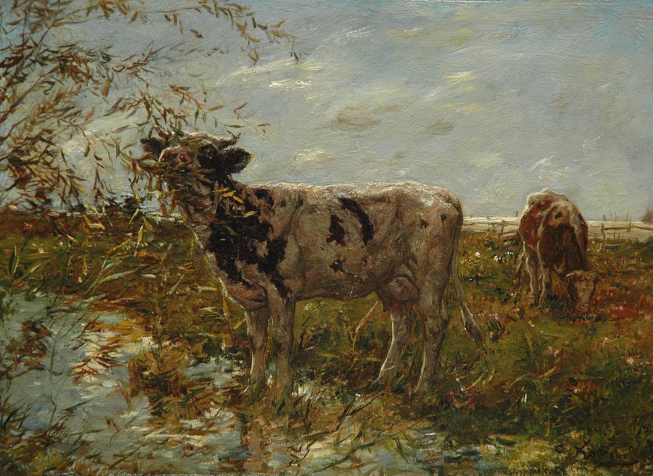 Koppenol C.  | Cornelis 'Kees' Koppenol, Cows by a ditch, Öl auf Holz 23,7 x 32,4 cm, signed l.r.