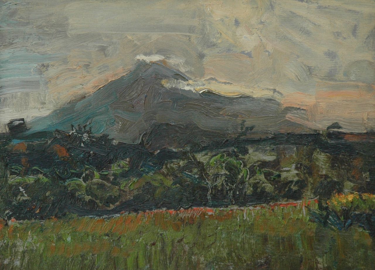 Kamerlingh Onnes H.H.  | 'Harm' Henrick Kamerlingh Onnes, A landscape with the Piso Piso on Sumatra, Öl auf Holz 27,6 x 35,0 cm