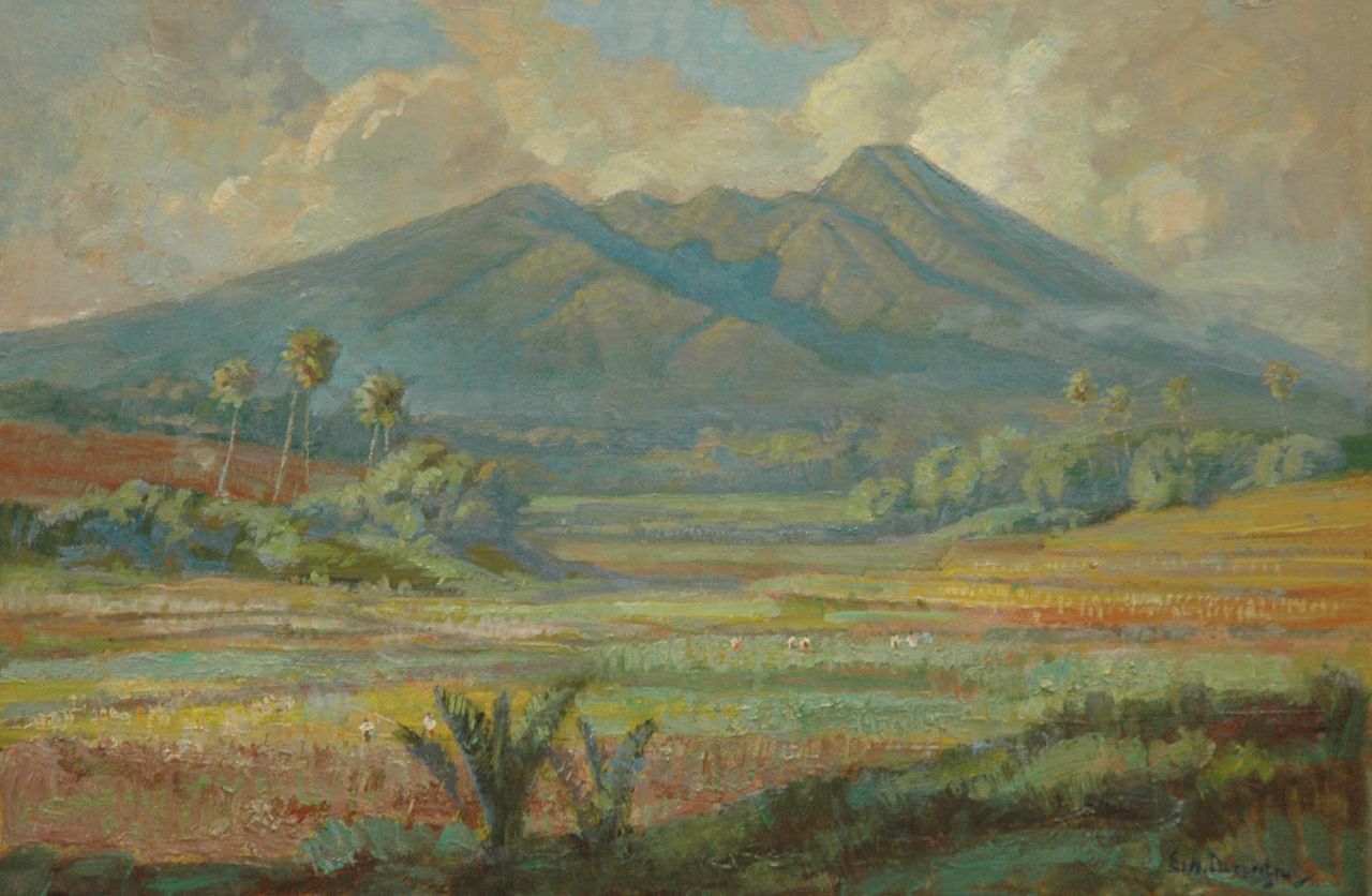 Dezentjé E.  | Ernest Dezentjé, Rice paddies near a vulcano, Öl auf Holzfaser 37,6 x 54,4 cm, signed l.r.
