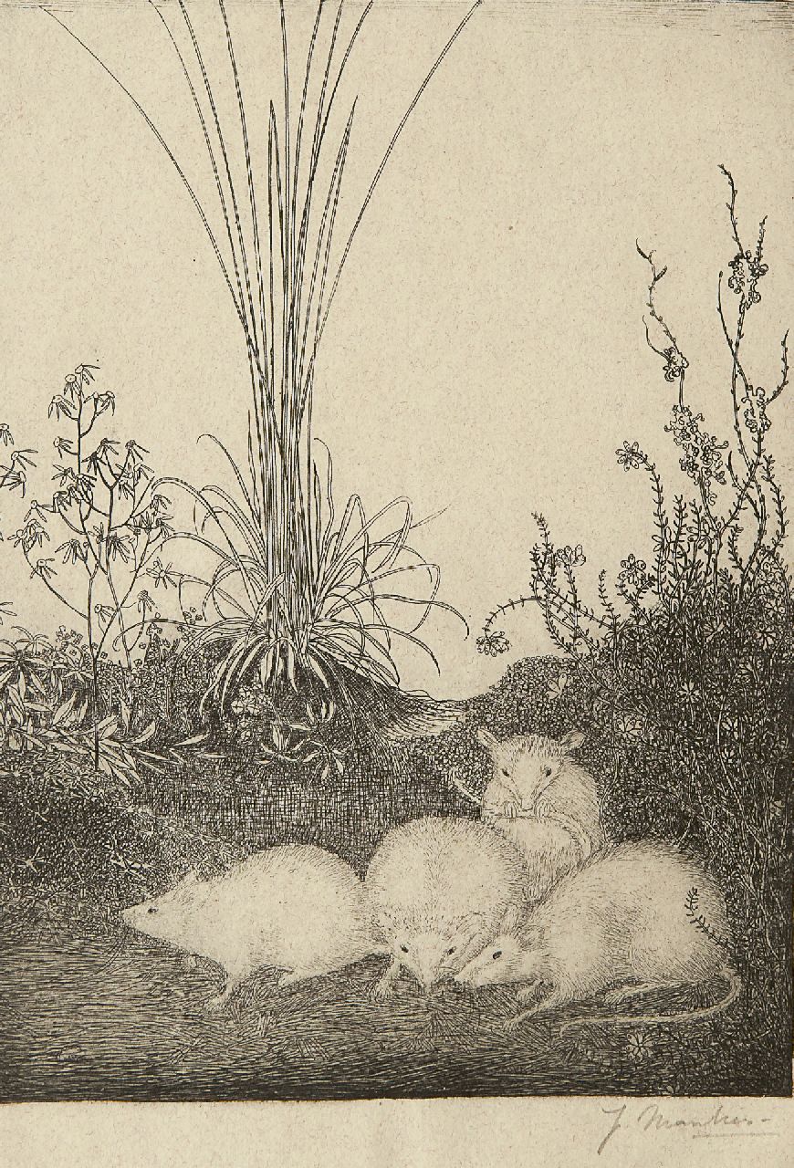 Mankes J.  | Jan Mankes, Four mice, Radierung auf Papier 19,5 x 14,5 cm, signed l.r. (in pencil) und executed in 1916