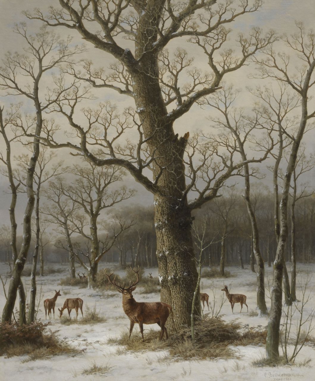 Bimmermann C.  | Caesar Bimmermann, A snowy forest with deer, Öl auf Leinwand 94,3 x 77,1 cm, signed l.r. und dated 'Dldf. 1886'