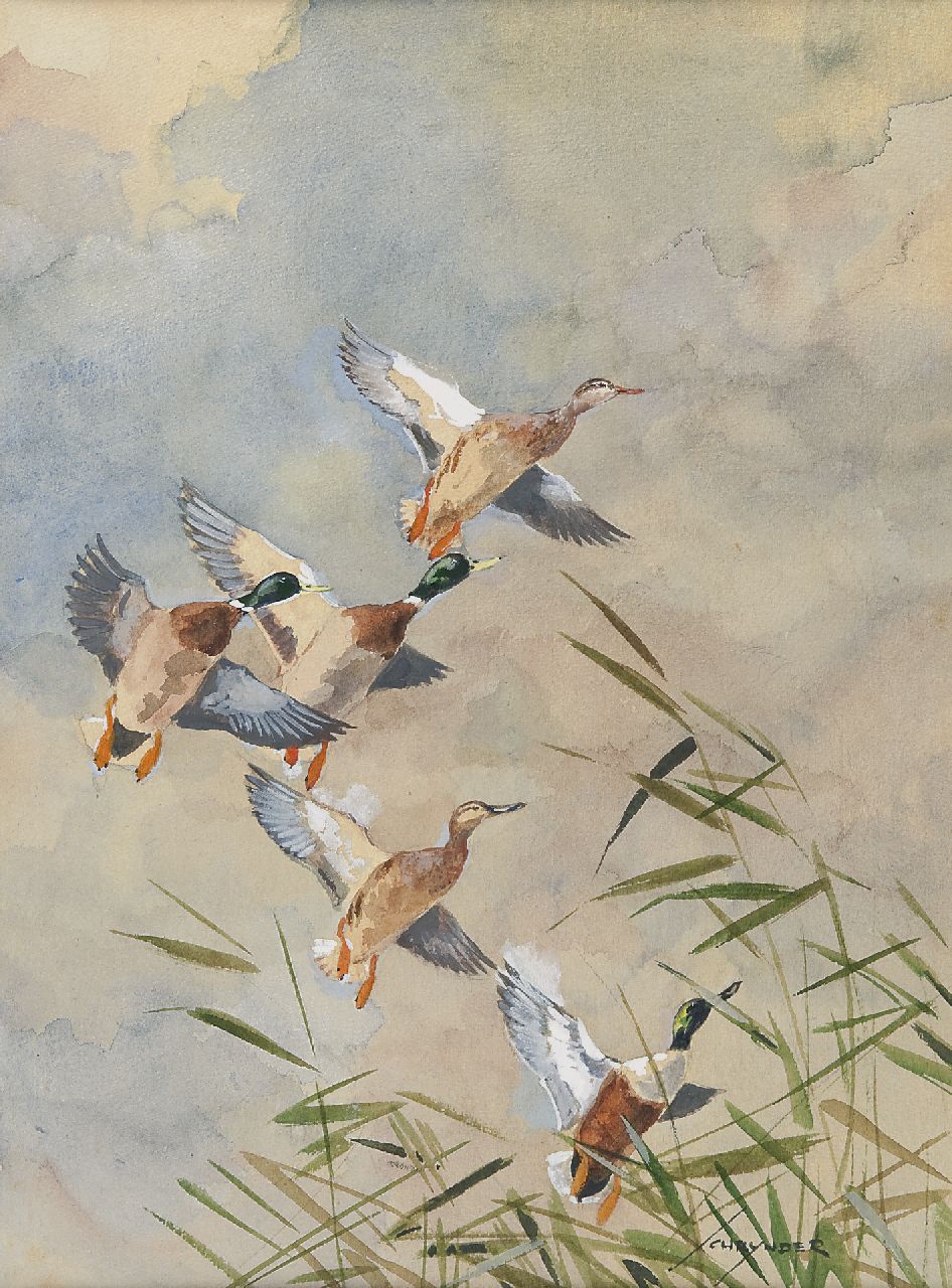 Schrijnder J.A.  | Josephus Alphonus 'Jo' Schrijnder, Ducks flying up, Aquarell auf Papier 36,0 x 27,2 cm, signed l.r.