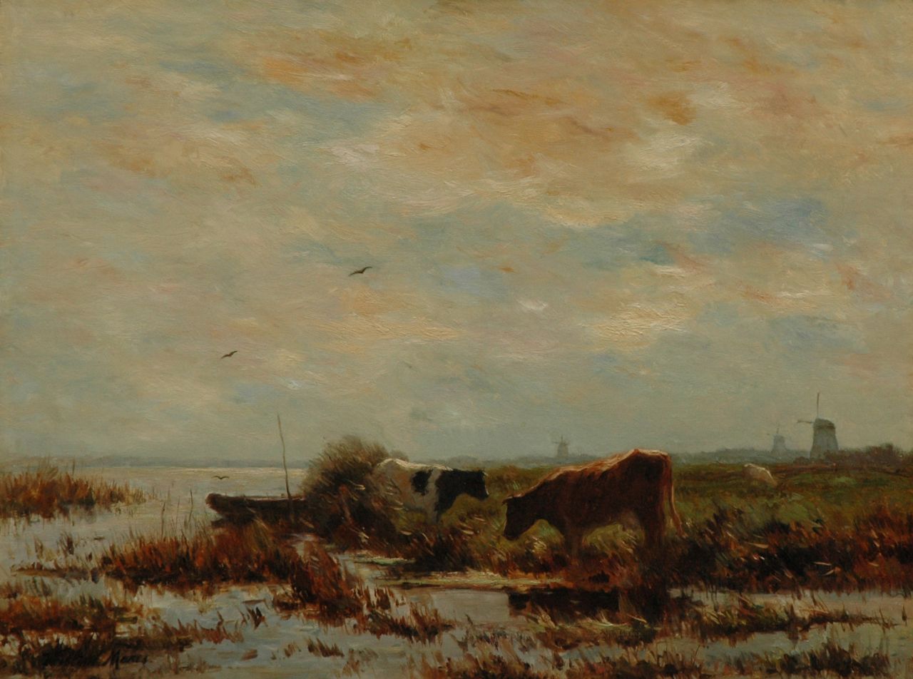 Maris W.  | Willem Maris, Grazing cows, Öl auf Leinwand 61,0 x 80,9 cm, signed l.l.