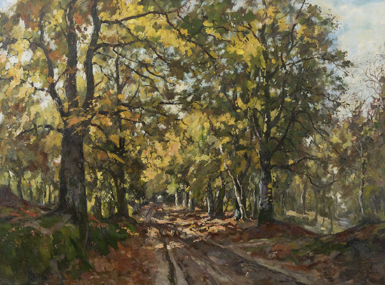 Vuuren J. van | Jan van Vuuren, Im Leuvenumser Wald, Öl auf Leinwand 75,5 x 100,5 cm, Unterzeichnet r.u.