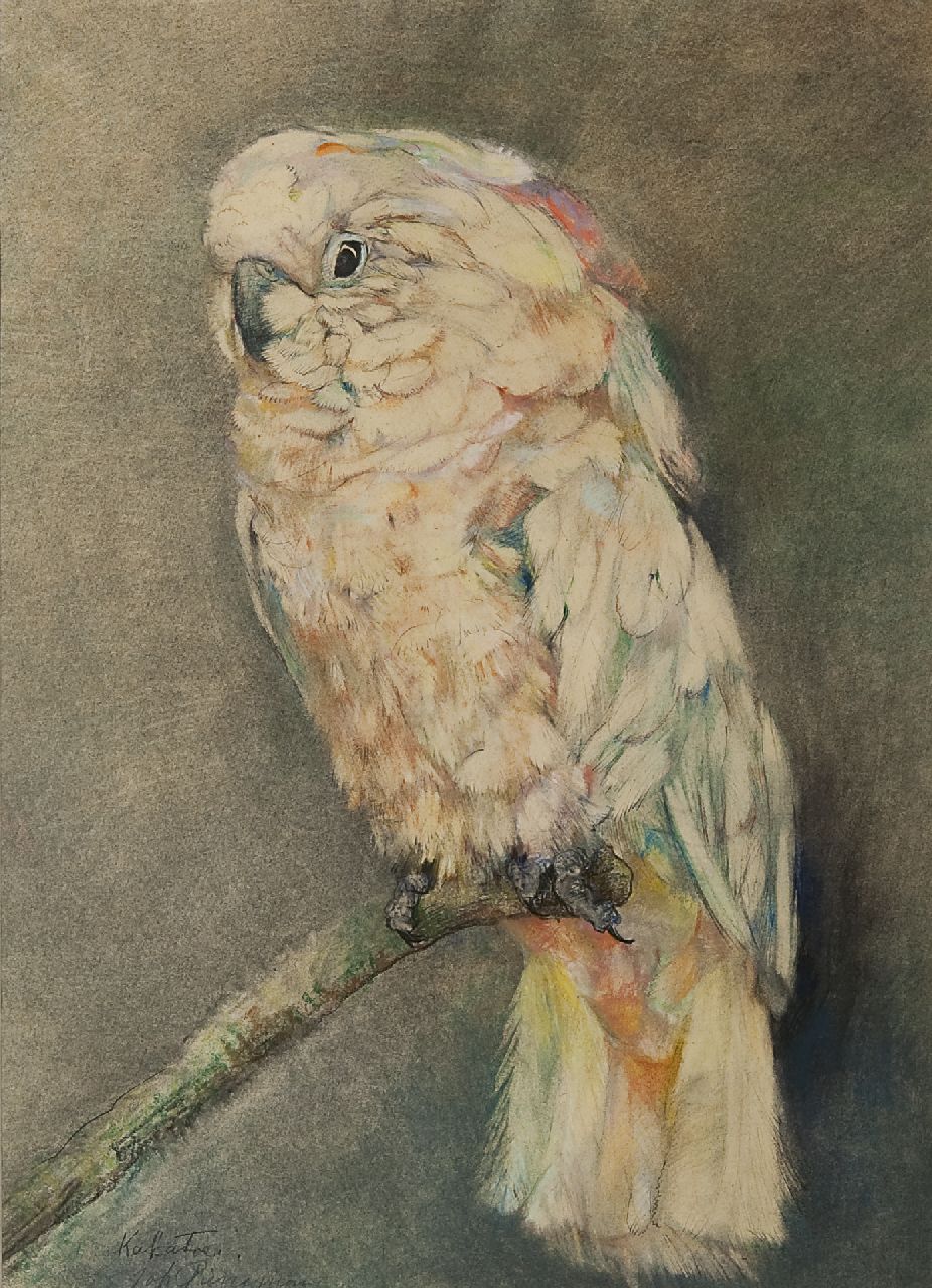 Pieneman J.H.  | 'Johanna' Hendrika Pieneman, Cockatoo, Pastell auf Papier 47,2 x 34,3 cm, signed l.l.