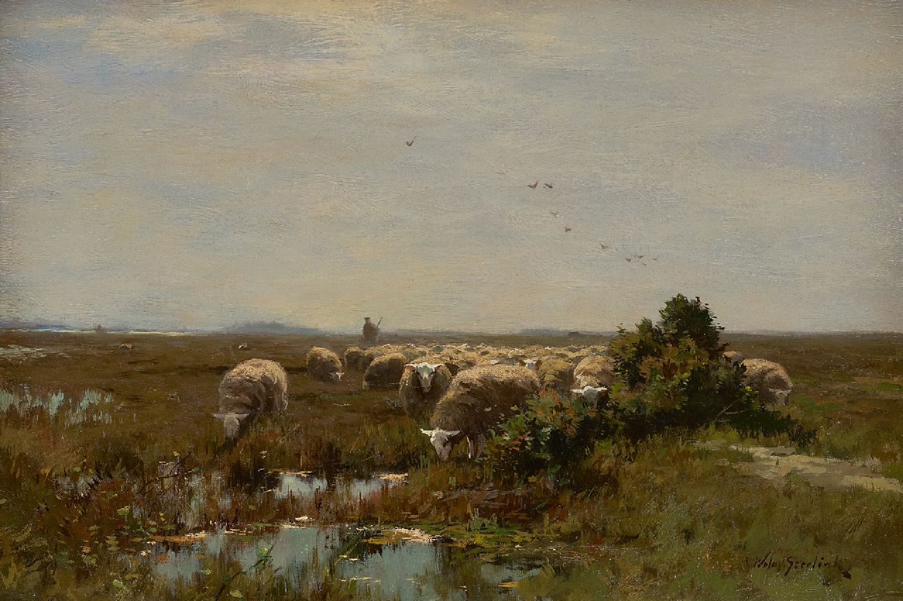 Steelink jr. W.  | Willem Steelink jr. | Gemälde zum Verkauf angeboten | Grasende Schafe auf der Heide, Öl auf Leinwand 33,1 x 48,0 cm, Unterzeichnet r.u. und ohne Rahmen