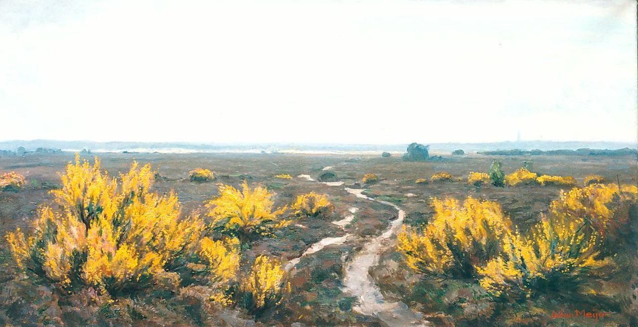 Meijer J.  | Johannes 'Johan' Meijer, A heath landscape, Öl auf Leinwand 44,0 x 84,0 cm
