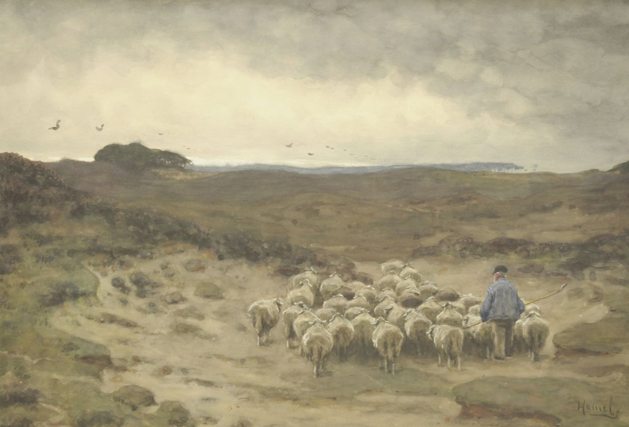 Hamel W.  | Willem Hamel, Shepherd and his flock, Aquarell auf Papier 54,1 x 76,5 cm, signed l.r.