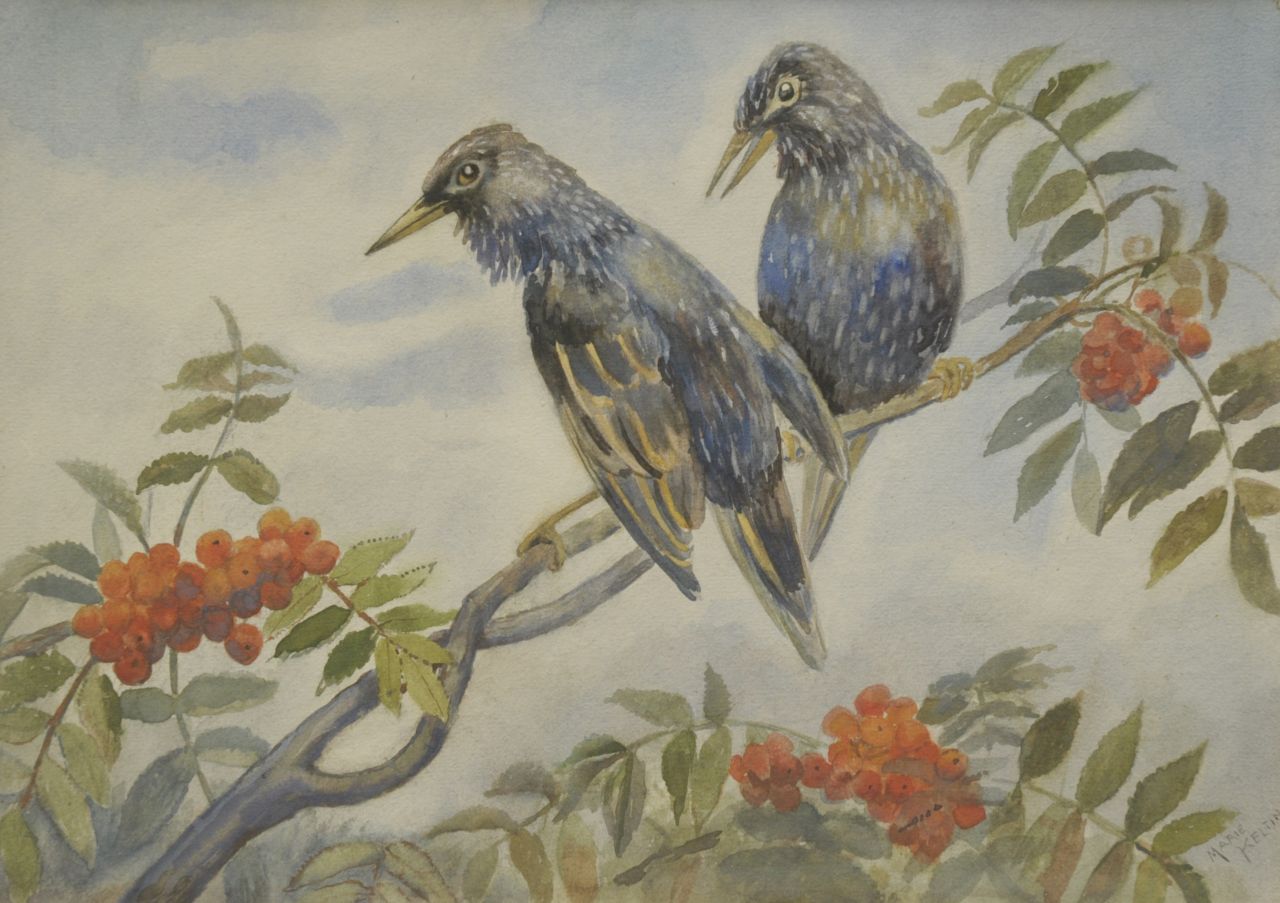 Kelting M.  | Maria 'Marie' Kelting, Two birds on a branch, Aquarell auf Papier auf Pappe 25,5 x 35,9 cm, signed l.r.