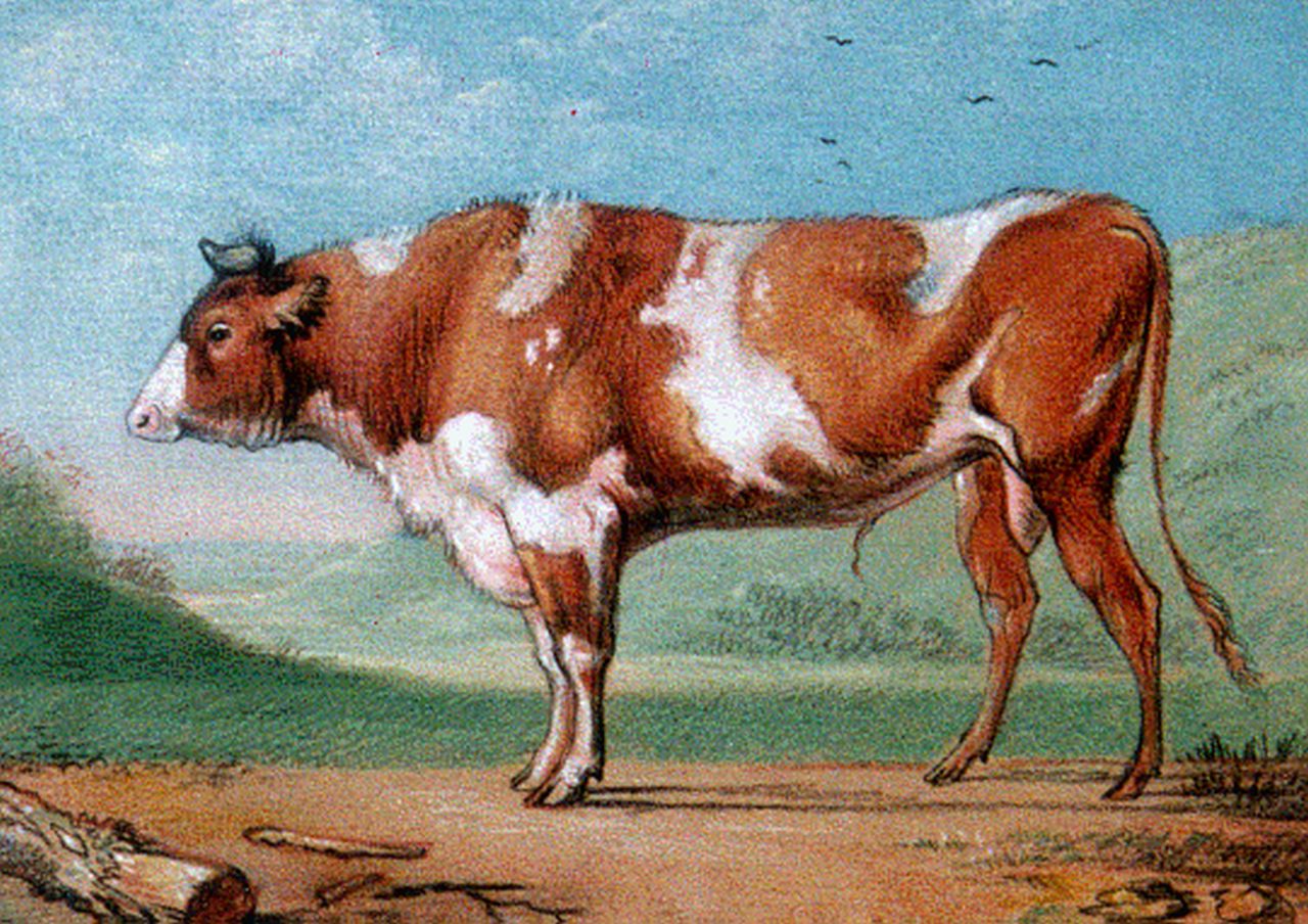 Verboeckhoven E.J.  | Eugène Joseph Verboeckhoven, A red-and-white bull, Pastell auf Papier 13,4 x 18,6 cm, signed l.l. with monogram und dated 1817