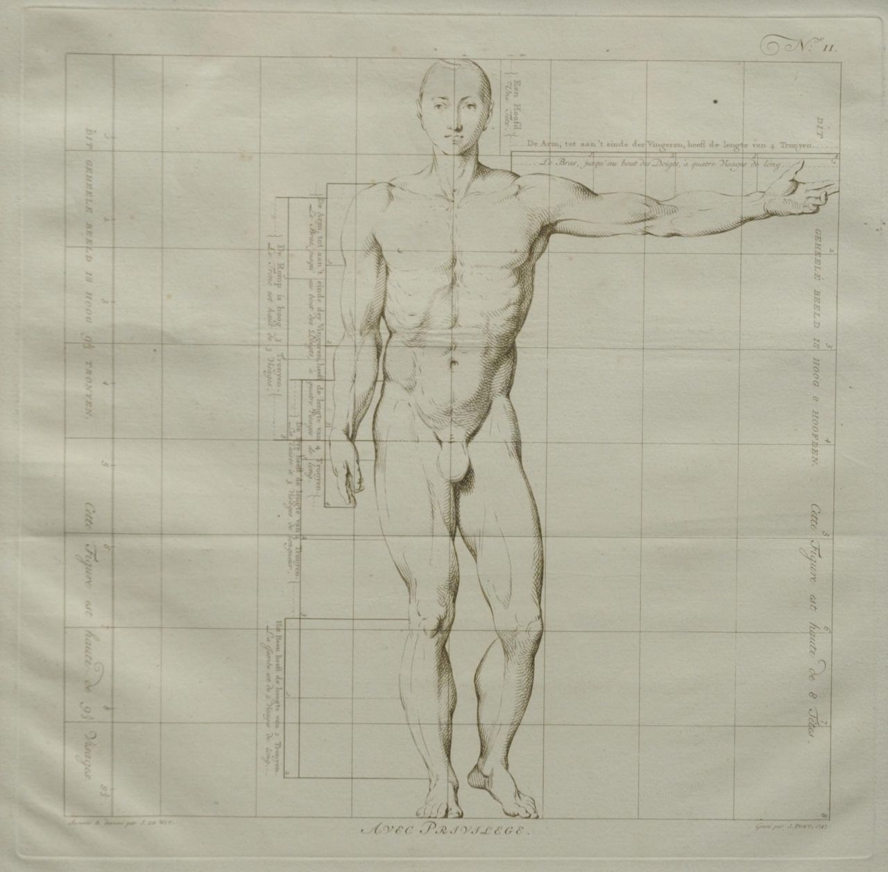 Wit J. de | Jacob de Wit, Die Idealmaße des menschlichen Körpers - Mann ( Nr. II), Stich auf Papier 40,0 x 40,0 cm