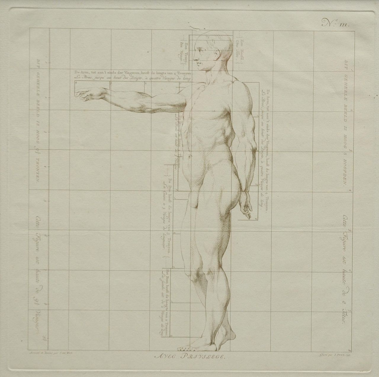 Wit J. de | Jacob de Wit, Die Idealmaße des menschlichen Körpers - Mann ( III), Stich auf Papier 40,0 x 40,0 cm
