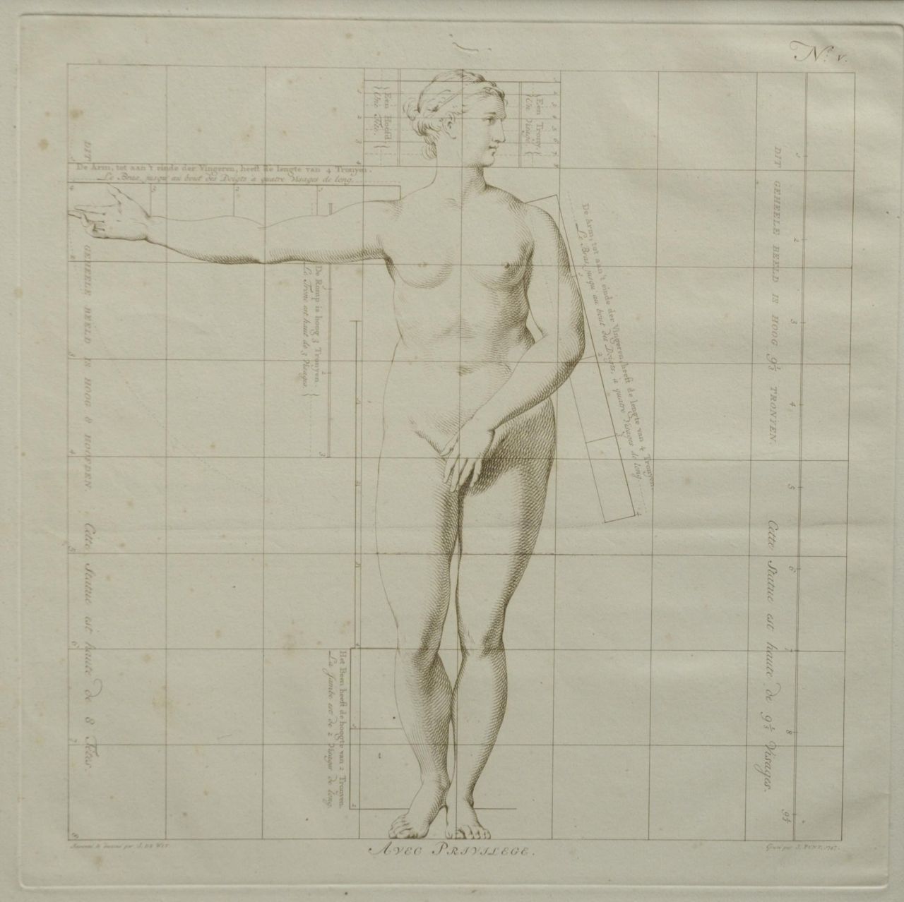 Wit J. de | Jacob de Wit, Die Idealmaße des menschlichen Körpers - Frau ( Nr. V), Stich auf Papier 40,0 x 40,0 cm