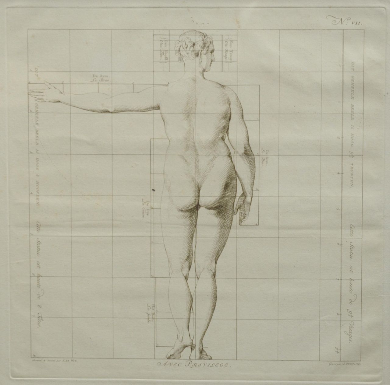 Wit J. de | Jacob de Wit, Die Idealmaße des menschlichen Körpers - Frau ( Nr. VII ), Stich auf Papier 40,0 x 40,0 cm