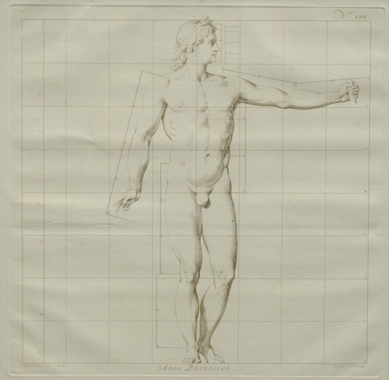Wit J. de | Jacob de Wit, Die Idealmaße des menschlichen Körpers - Mann ( Nr. VIII), Stich auf Papier 40,0 x 40,0 cm