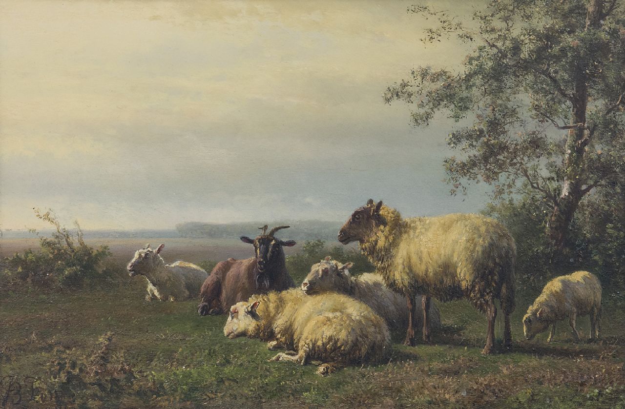 Tom J.B.  | Jan Bedijs Tom, Schafe und Bock in einer Wiese (nur zusammen mit Gegenstück von 13334), Öl auf Holz 19,9 x 29,4 cm, Unterzeichnet l.u.
