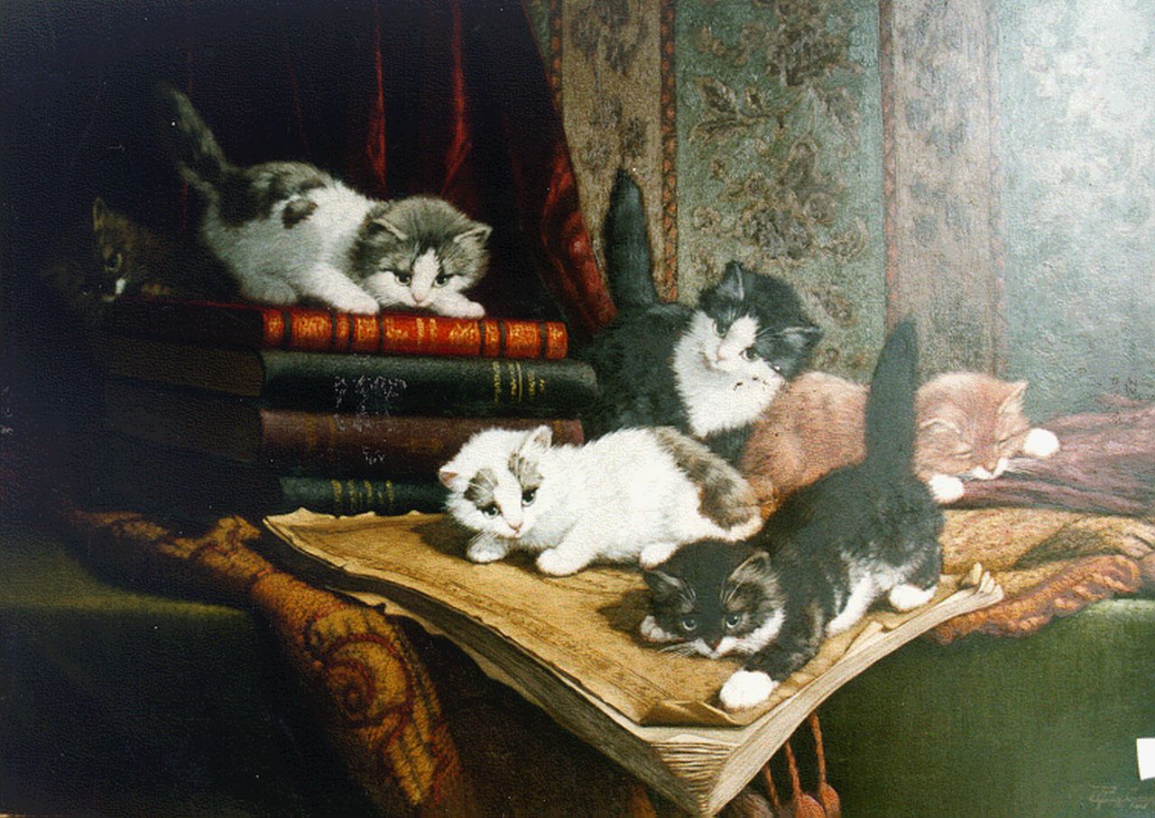 Raaphorst C.  | Cornelis Raaphorst, Six kittens playing, Öl auf Leinwand 50,0 x 70,0 cm, signed l.r.