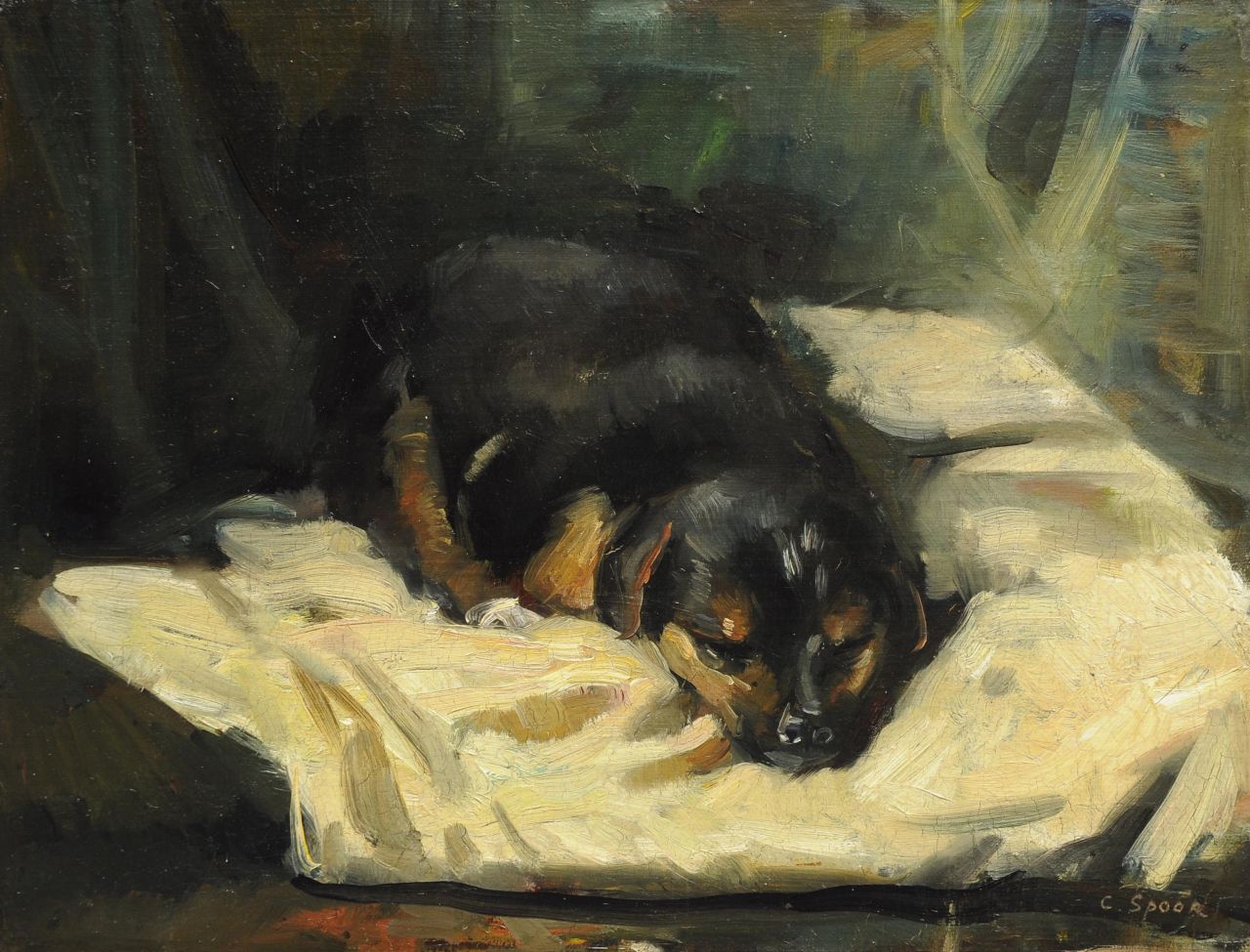 Spoor C.R.H.  | 'Cornelis' Rudolf Hendrik  Spoor, Schlafender Hund, Öl auf Leinwand  auf Holzfaser 28,0 x 36,5 cm, Unterzeichnet r.u.
