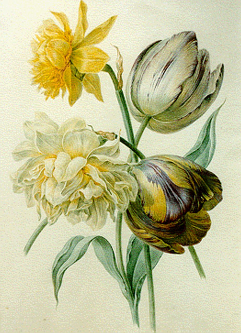 Goeje-Barbiers M.G. de | Maria Geertruida de Goeje-Barbiers, A still life with tulips and a daffodil, Aquarell auf Papier 26,6 x 19,4 cm, signed on passe-partout und dated 1844