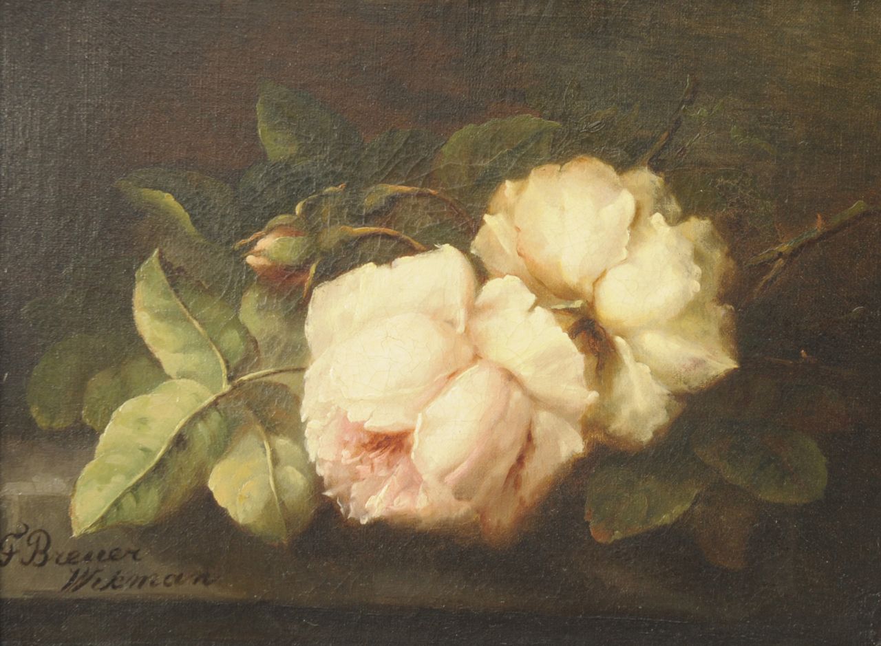 Breuer-Wikman F.  | Frederika Breuer-Wikman, Rosen, Öl auf Leinwand 27,3 x 36,5 cm, Unterzeichnet l.u.
