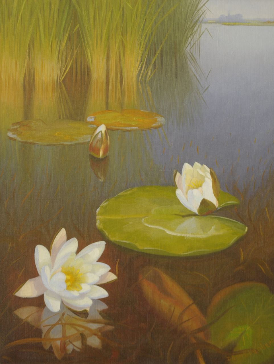 Smorenberg D.  | Dirk Smorenberg, Wasserrosen in den Loosdrechtse Plassen, Öl auf Leinwand 50,5 x 39,0 cm, Unterzeichnet r.u.