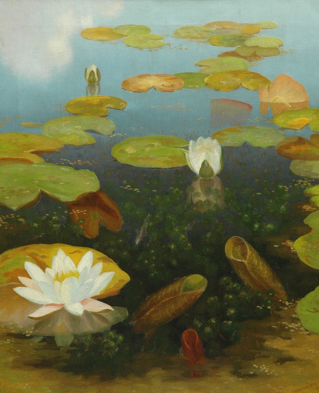 Smorenberg D.  | Dirk Smorenberg, Water lilies, Öl auf Leinwand 59,8 x 49,8 cm, signed l.r.