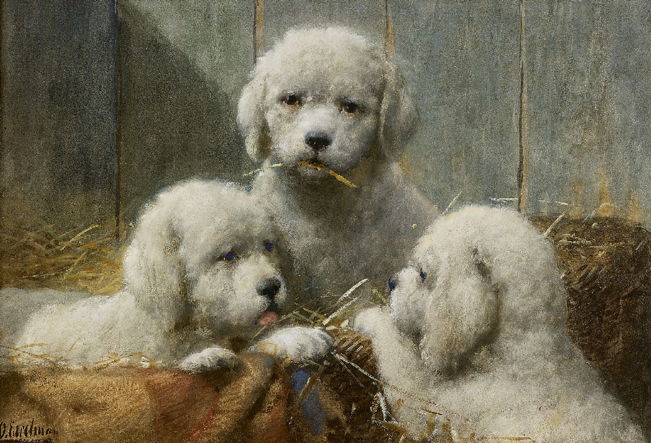 Eerelman O.  | Otto Eerelman, Three puppies in a basket, Aquarell auf Papier 36,0 x 53,5 cm, signed l.l.