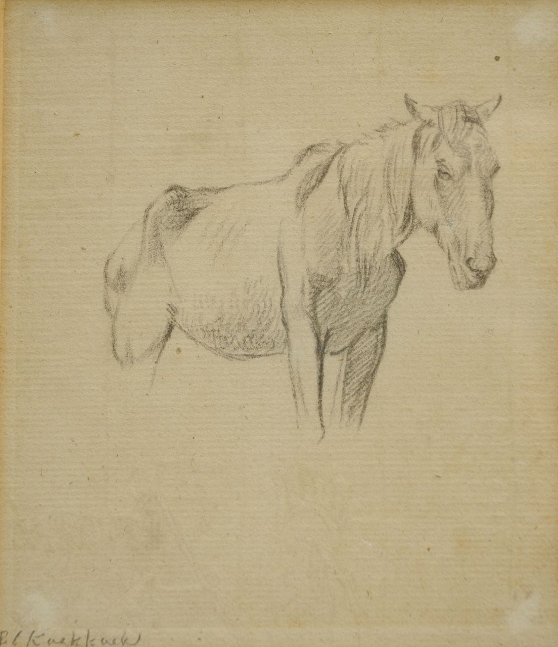 Koekkoek B.C.  | Barend Cornelis Koekkoek, Studie von einem Pferd, Kreide auf Papier 14,3 x 12,5 cm, Unterzeichnet u.l.