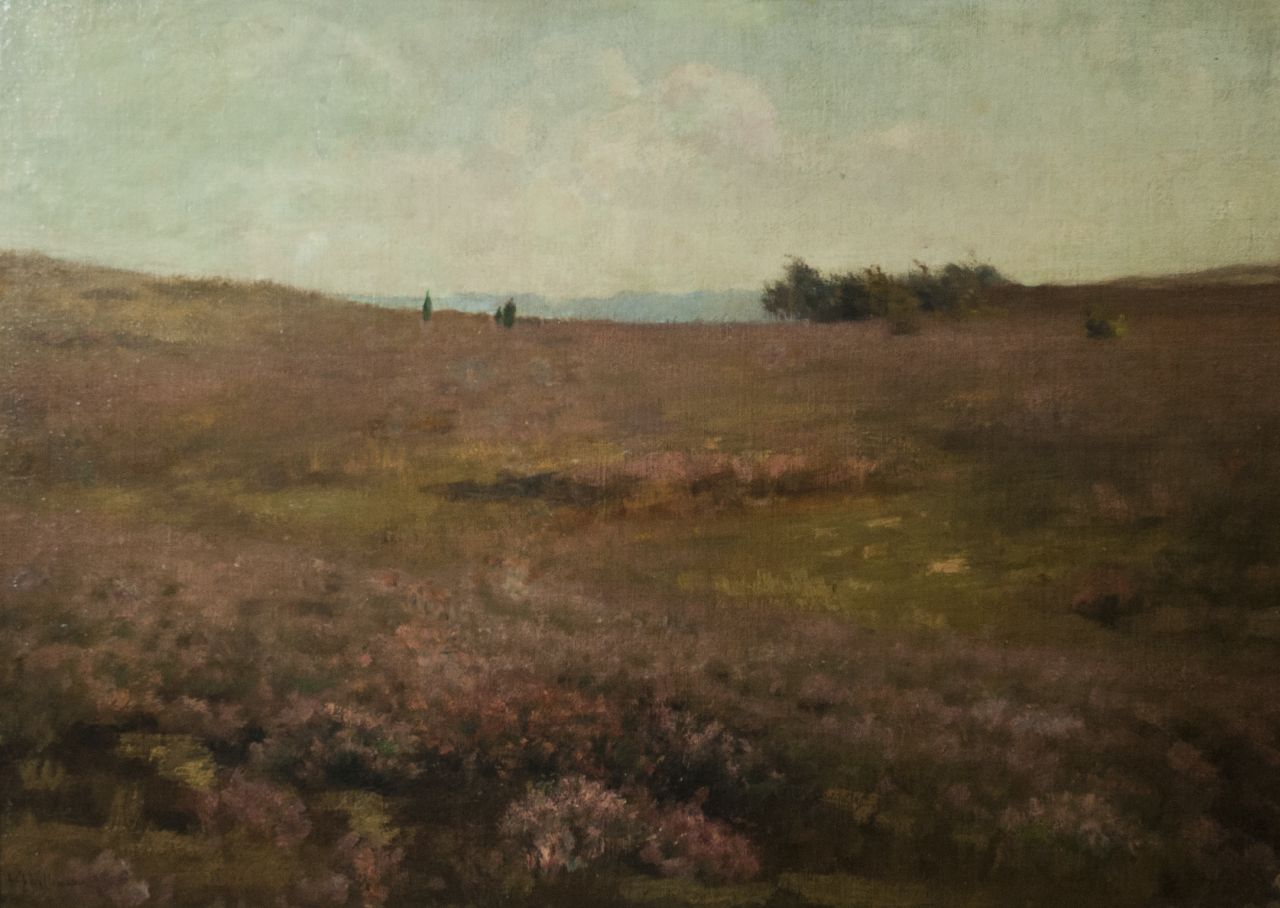 Willemsen W.J.  | Willem Jan Willemsen | Gemälde zum Verkauf angeboten | Landschaft mit Heide, Öl auf Leinwand auf Holz 46,0 x 64,5 cm, Unterzeichnet u.L.