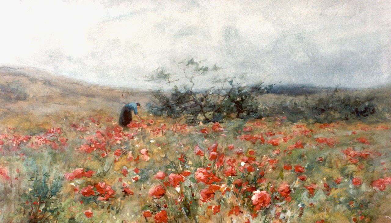 Wijsmuller J.H.  | Jan Hillebrand Wijsmuller, A field with poppies, Aquarell auf Papier 31,5 x 51,5 cm