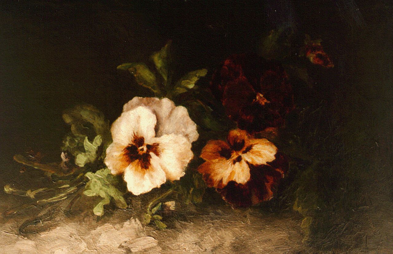 Meijer M.  | Margaret Meijer, Violets, Öl auf Leinwand 27,5 x 40,0 cm, signed l.r.