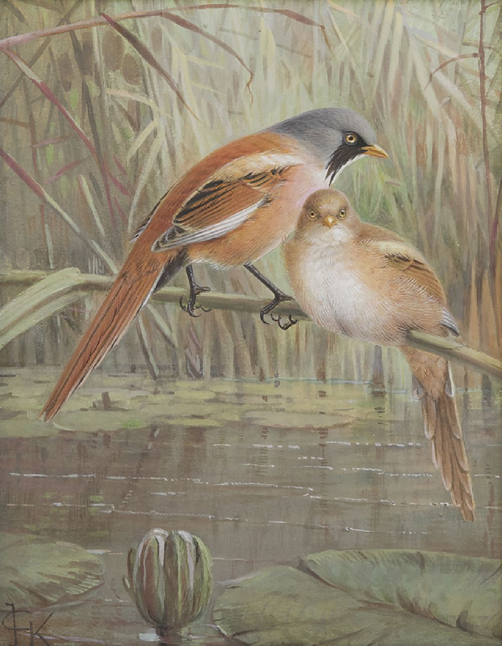 Keulemans J.G.  | Johannes Gerardus Keulemans, Bartmeisen im Rohr, Gouache auf Papier 20,0 x 15,5 cm, Unterzeichnet u.l.mit Monogramm