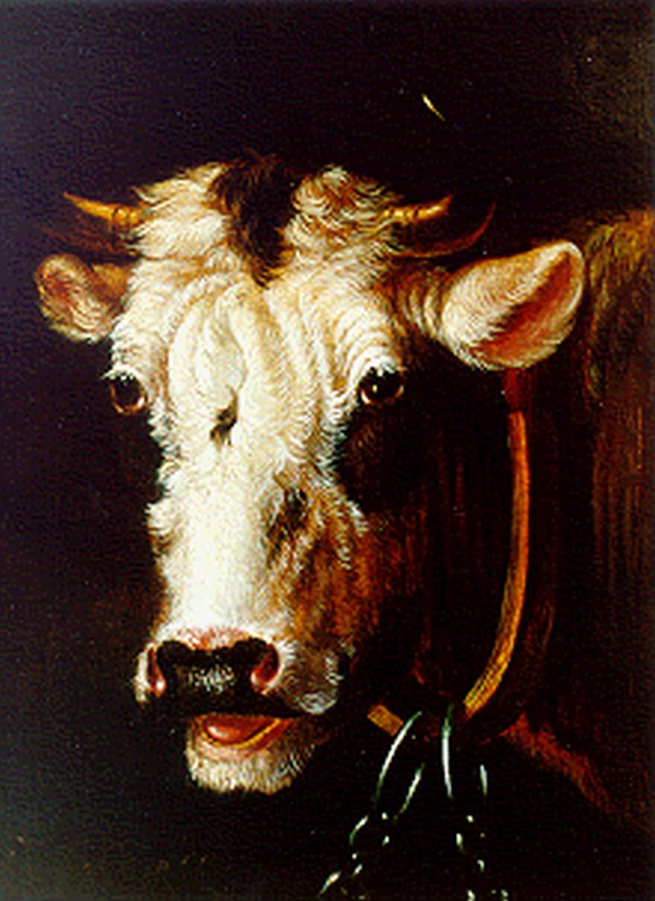 Verhoesen A.  | Albertus Verhoesen, A bull's head, Öl auf Holz 16,7 x 14,0 cm, signed l.l.