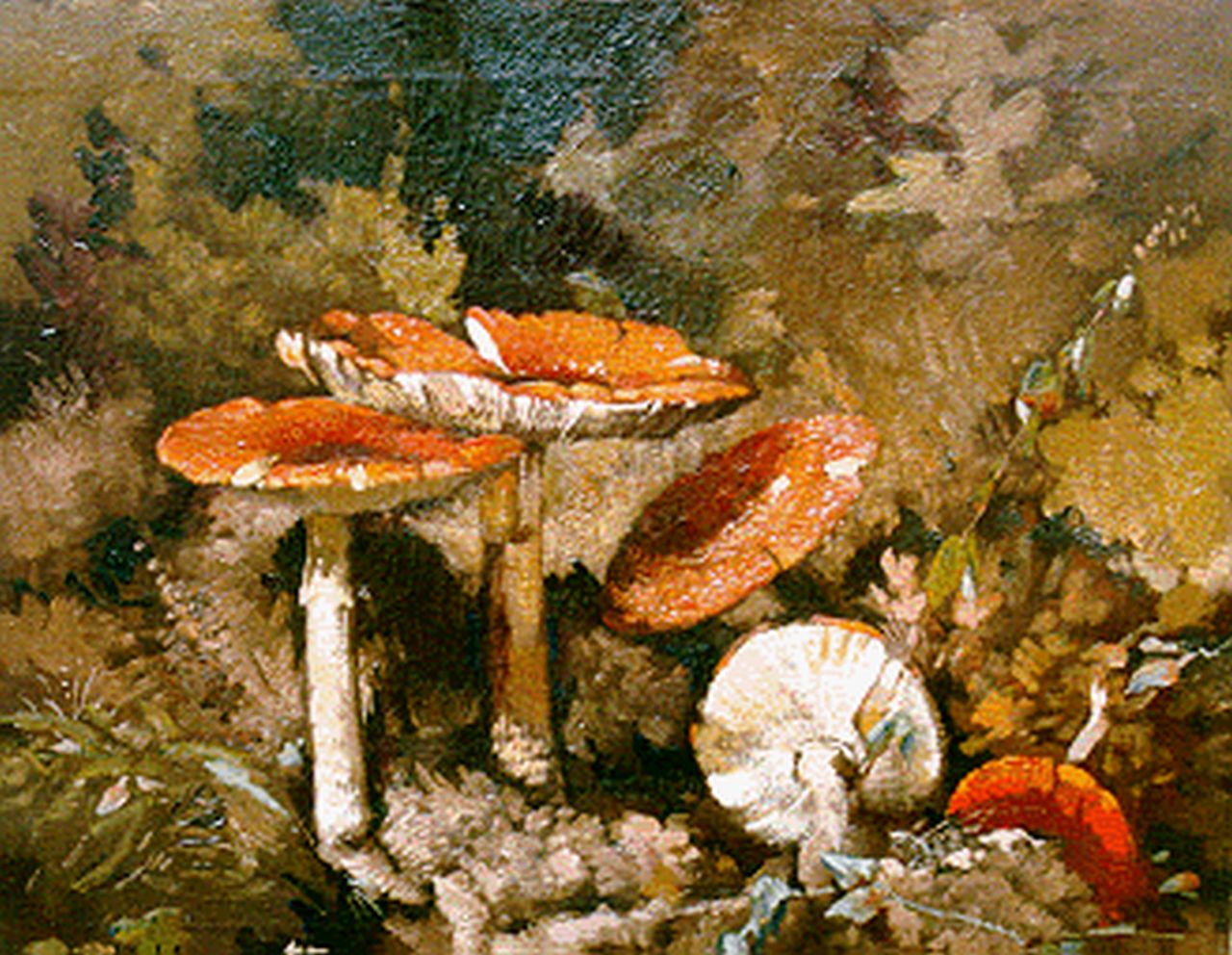 Goedvriend Th.F.  | Theodoor Franciscus 'Theo' Goedvriend, Fly agarics, Öl auf Leinwand 46,7 x 56,0 cm, signed l.l.