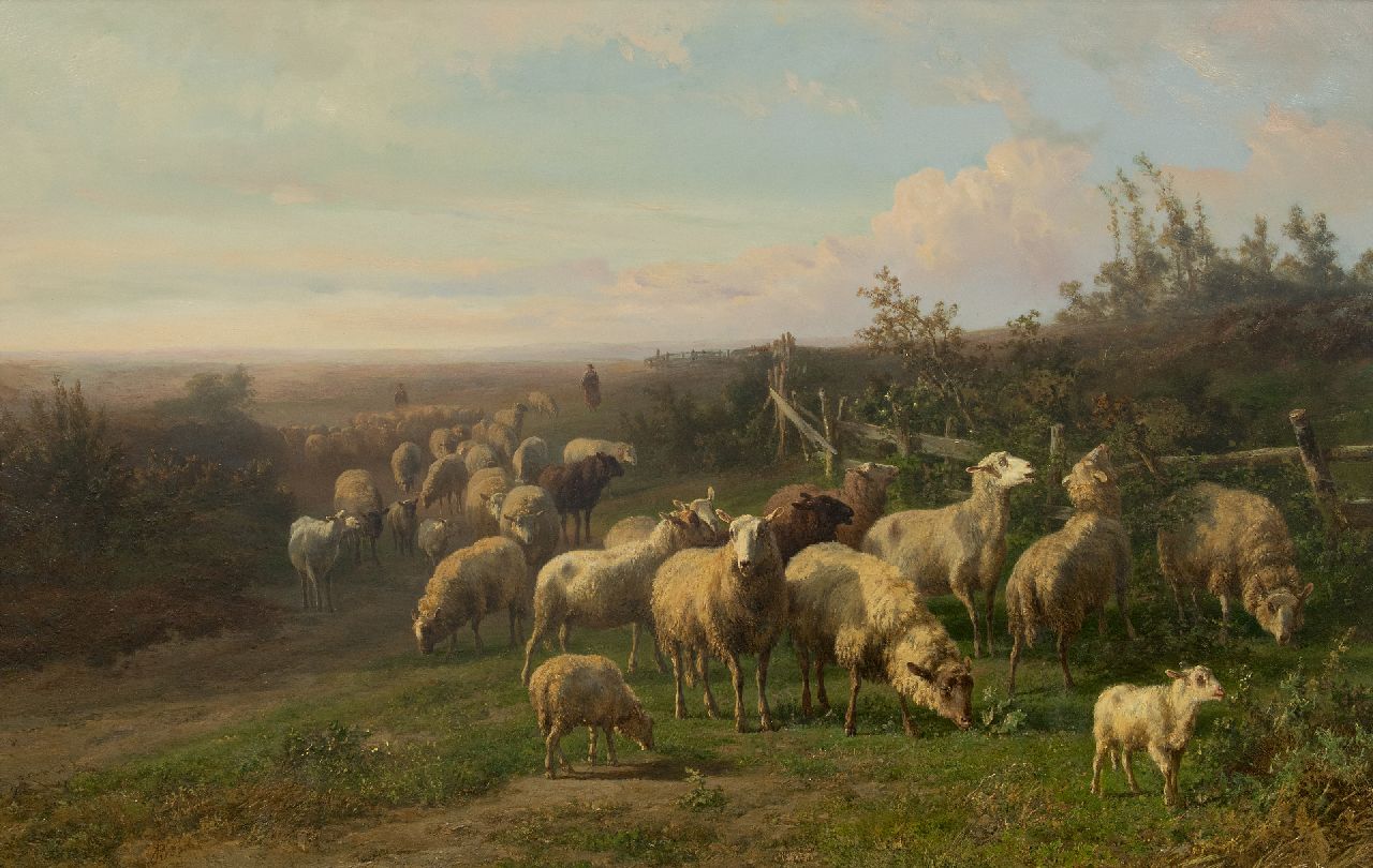 Tom J.B.  | Jan Bedijs Tom, Schafsherde in weite Heidelandschaft, Öl auf Holz 60,3 x 94,0 cm, Unterzeichnet u.l.