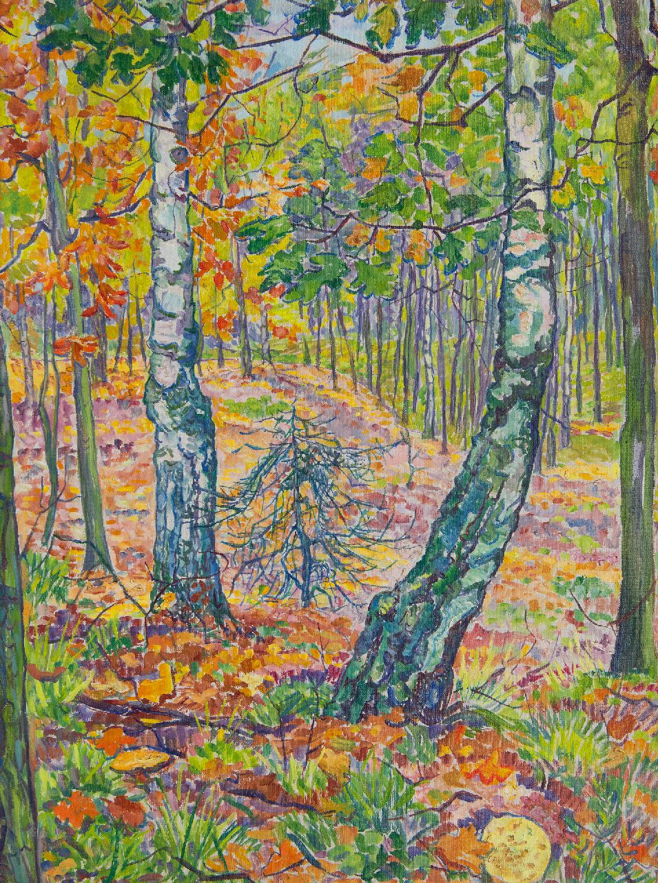 Pijpers E.E.  | 'Edith' Elizabeth Pijpers, Herbstwald, Öl auf Leinwand 60,2 x 45,3 cm