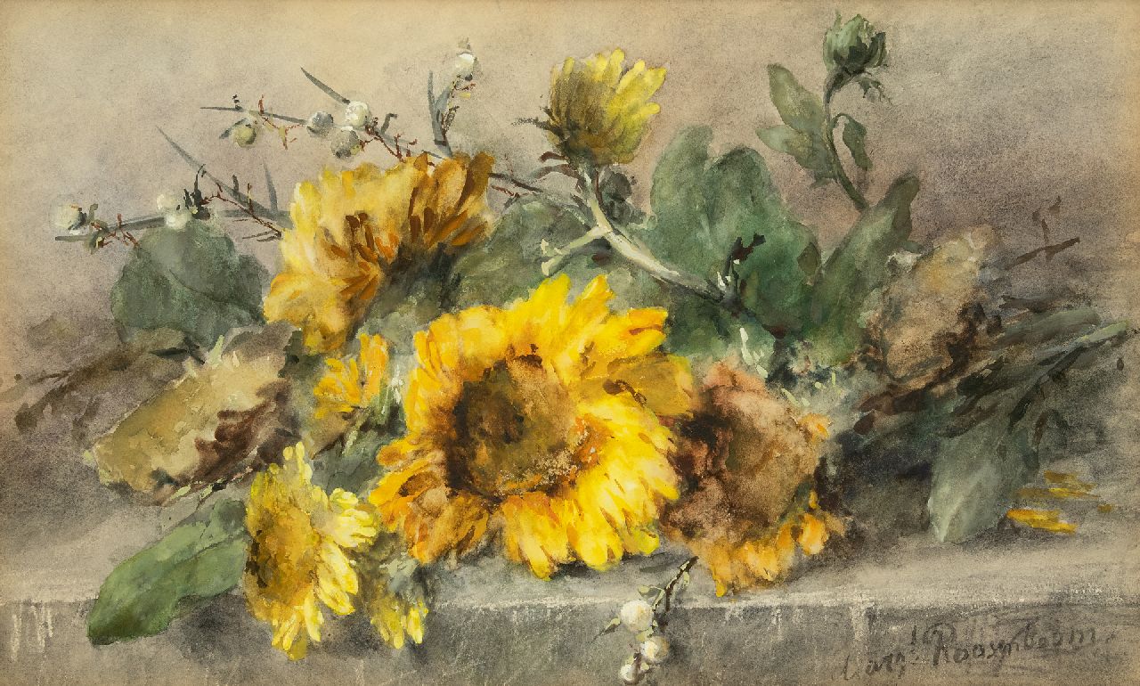 Roosenboom M.C.J.W.H.  | 'Margaretha' Cornelia Johanna Wilhelmina Henriëtta Roosenboom, Sonnenblume auf einer Steinleiste  Sonnenblumen auf einer Steinleiste, Aquarell auf Papier 44,3 x 74,8 cm, Unterzeichnet u.r.