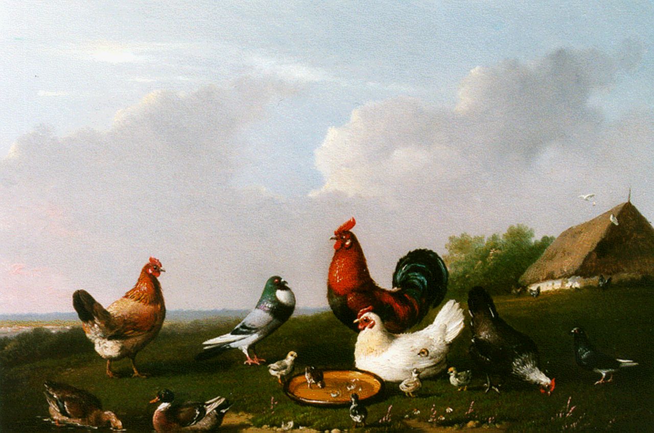Severdonck F. van | Frans van Severdonck, Poultry by a pond, Öl auf Holz 17,8 x 24,1 cm, signed l.r. und dated 1870