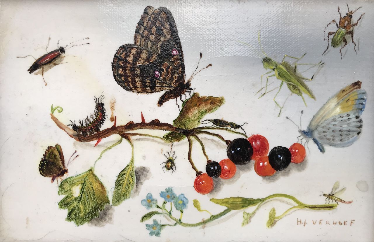 Hans Verhoef | Stilleben mit Schmetterlingen, Insekten und Beeren, Öl auf Leinwand, 10,3 x 15,5 cm, Unterzeichnet u.r.