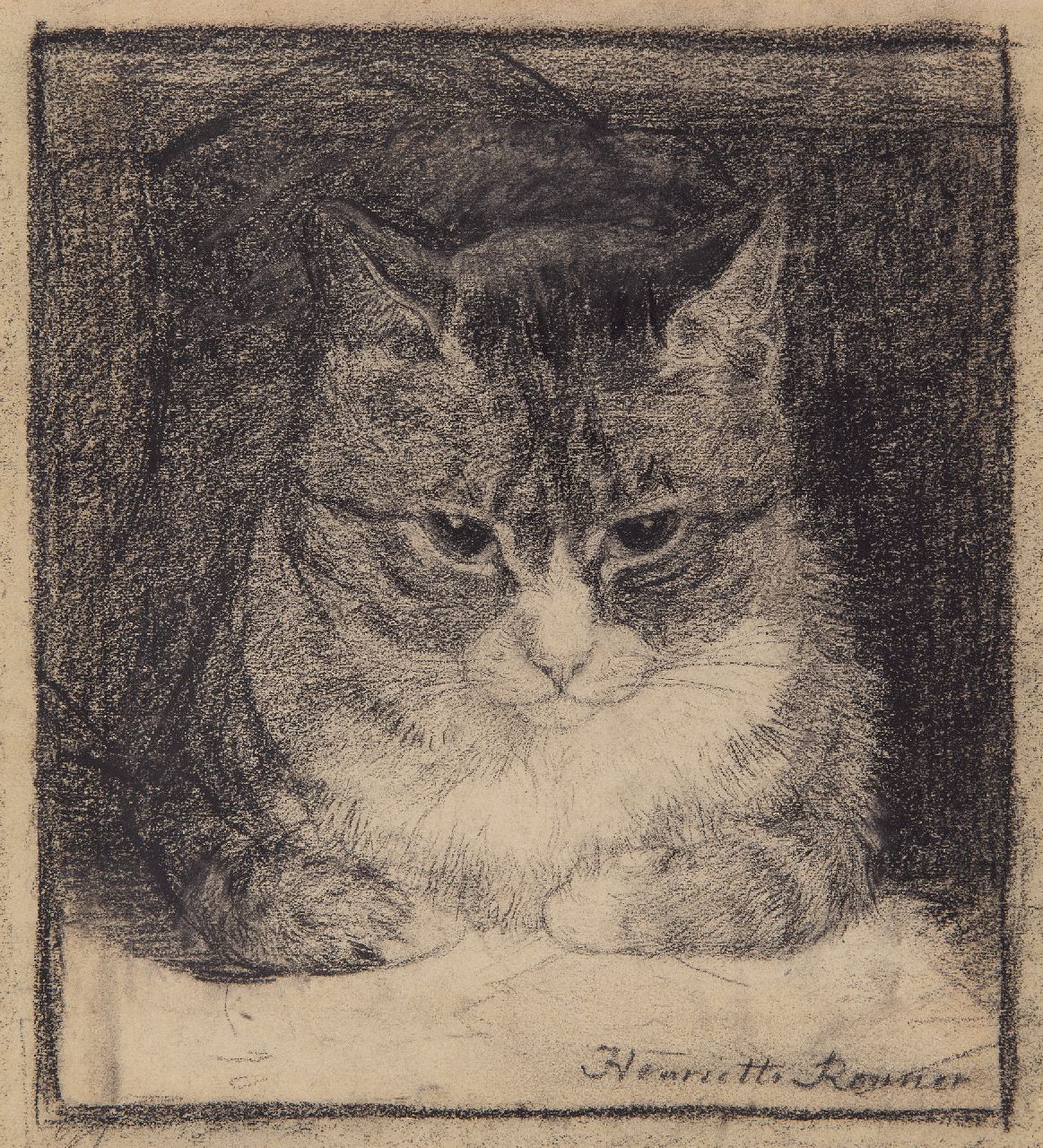 Ronner-Knip H.  | Henriette Ronner-Knip, Porträt einer Katze, Holzkohle  auf Papier 25,2 x 23,5 cm, Unterzeichnet u.r.