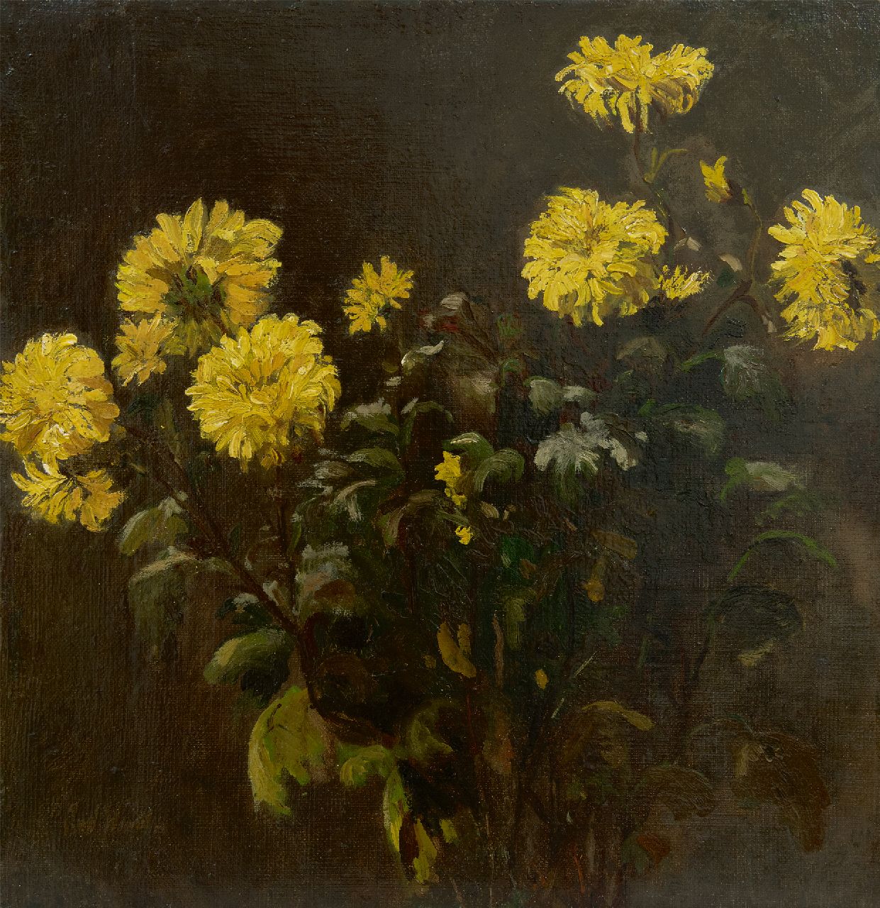Windt Ch. van der | Christophe 'Chris' van der Windt | Gemälde zum Verkauf angeboten | Chrysanthemen, Öl auf Leinwand 43,4 x 42,0 cm, Unterzeichnet u.l.