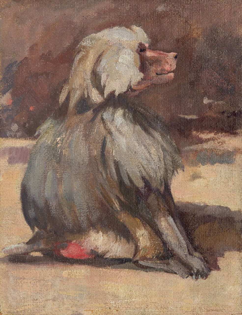 Bruigom M.C.  | Margaretha Cornelia 'Greta' Bruigom, Mantel Pavian, Öl auf Leinwand auf Holz 36,5 x 28,7 cm, Unterzeichnet im Verso