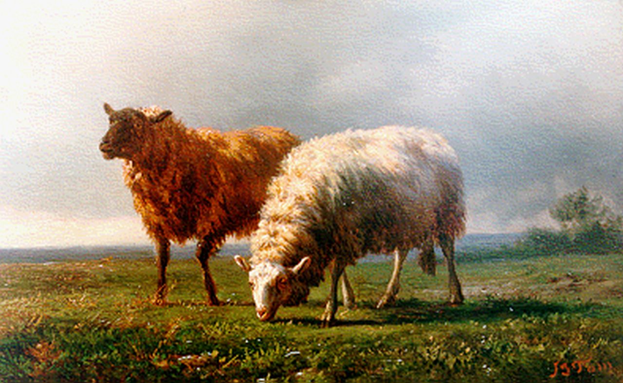 Tom J.B.  | Jan Bedijs Tom, Sheep in a landscape, Öl auf Holz 14,6 x 22,8 cm, signed l.r.