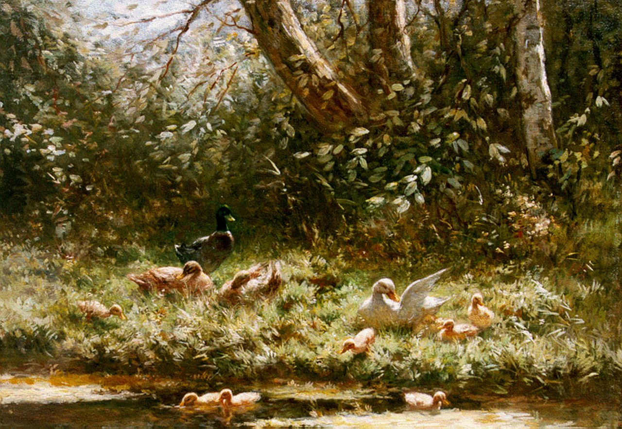 Artz C.D.L.  | 'Constant' David Ludovic Artz, Ducks with ducklings on the riverbank in summer, Öl auf Leinwand 30,0 x 40,2 cm, signed l.l.