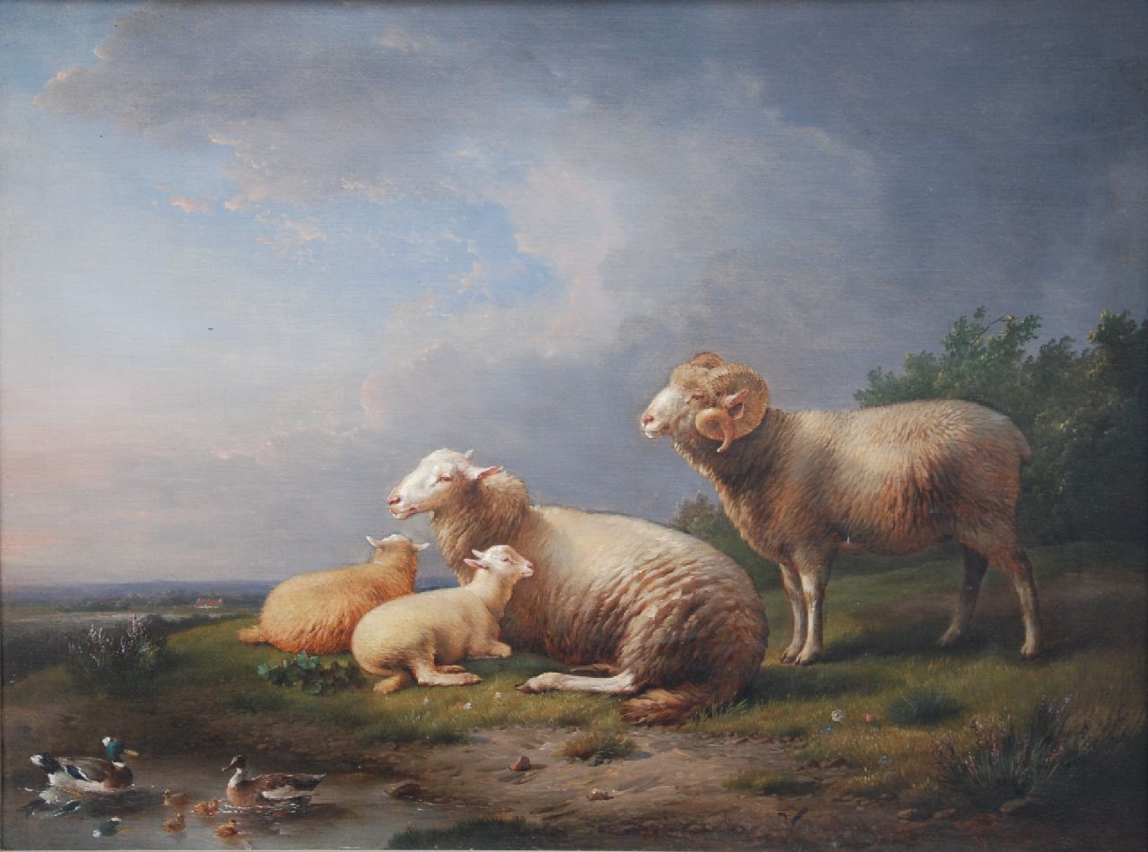 Severdonck F. van | Frans van Severdonck | Gemälde zum Verkauf angeboten | Schafe, Widder und Lämmer in einer Landschaft, Öl auf Leinwand 51,0 x 66,5 cm, Unterzeichnet u.r.